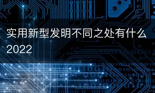 实用新型发明不同之处有什么2022