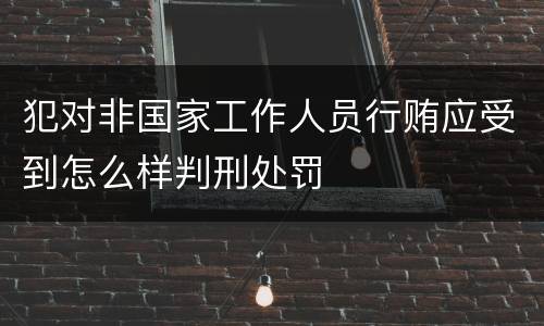 犯对非国家工作人员行贿应受到怎么样判刑处罚