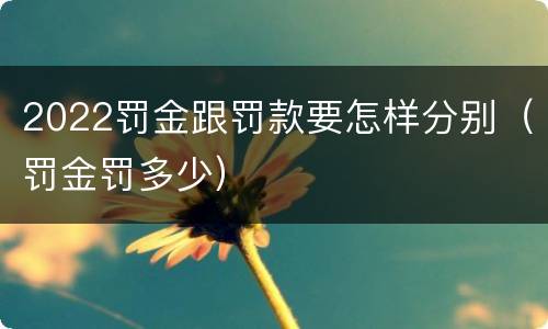 2022罚金跟罚款要怎样分别（罚金罚多少）