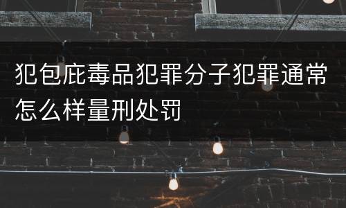 犯包庇毒品犯罪分子犯罪通常怎么样量刑处罚