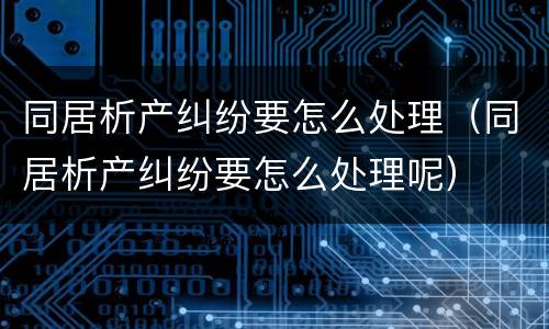 同居析产纠纷要怎么处理（同居析产纠纷要怎么处理呢）