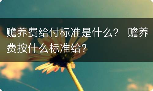 赡养费给付标准是什么？ 赡养费按什么标准给?