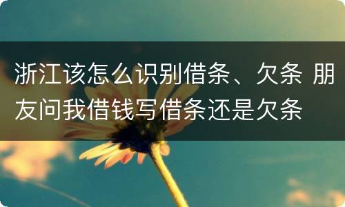 浙江该怎么识别借条、欠条 朋友问我借钱写借条还是欠条