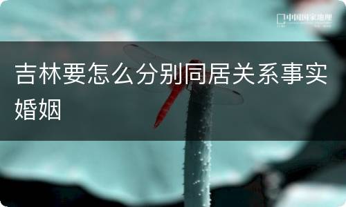 吉林要怎么分别同居关系事实婚姻