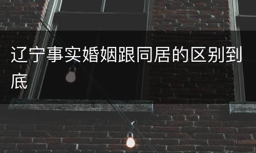 辽宁事实婚姻跟同居的区别到底