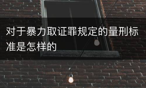 对于暴力取证罪规定的量刑标准是怎样的