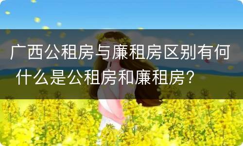 广西公租房与廉租房区别有何 什么是公租房和廉租房?