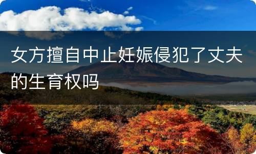 女方擅自中止妊娠侵犯了丈夫的生育权吗