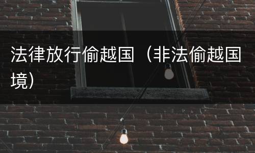 法律放行偷越国（非法偷越国境）