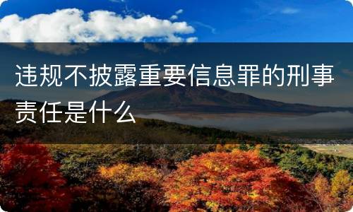 违规不披露重要信息罪的刑事责任是什么
