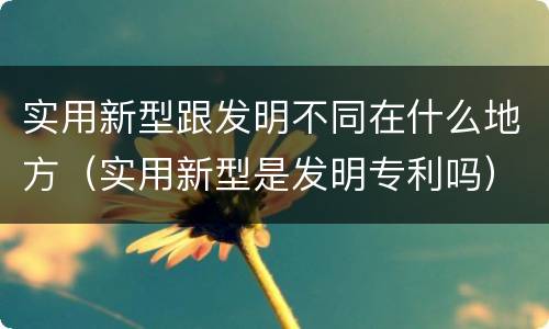 实用新型跟发明不同在什么地方（实用新型是发明专利吗）