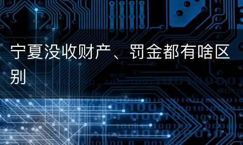 宁夏没收财产、罚金都有啥区别