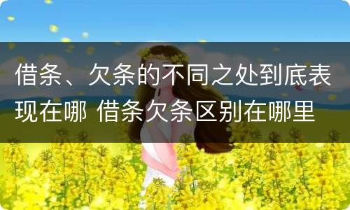 借条、欠条的不同之处到底表现在哪 借条欠条区别在哪里