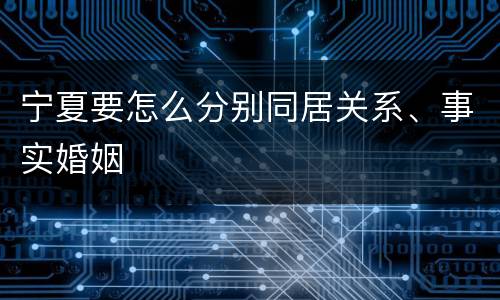 宁夏要怎么分别同居关系、事实婚姻
