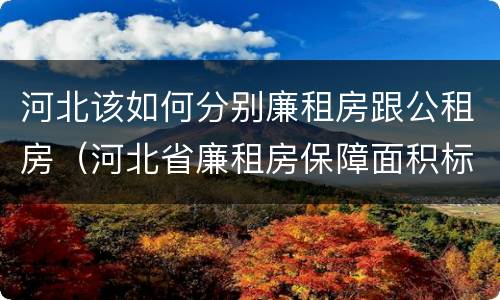 河北该如何分别廉租房跟公租房（河北省廉租房保障面积标准）