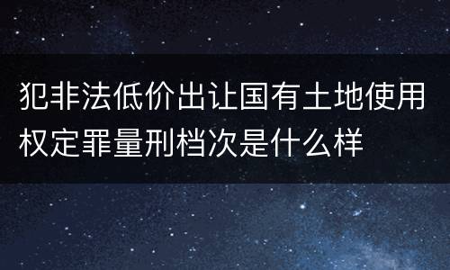 犯非法低价出让国有土地使用权定罪量刑档次是什么样