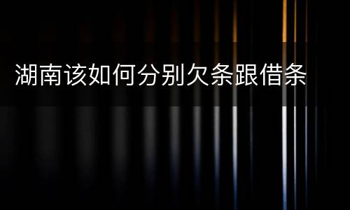 湖南该如何分别欠条跟借条