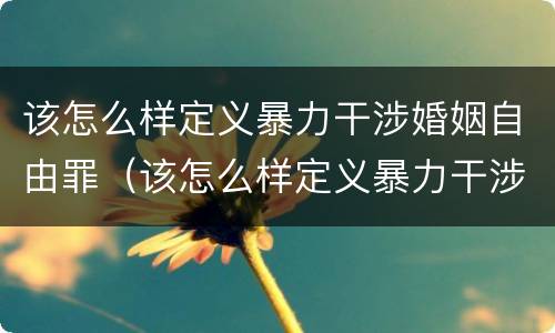 该怎么样定义暴力干涉婚姻自由罪（该怎么样定义暴力干涉婚姻自由罪呢）