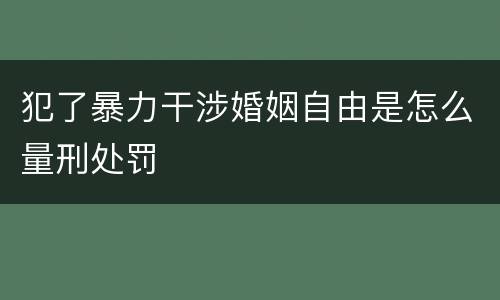 犯了暴力干涉婚姻自由是怎么量刑处罚