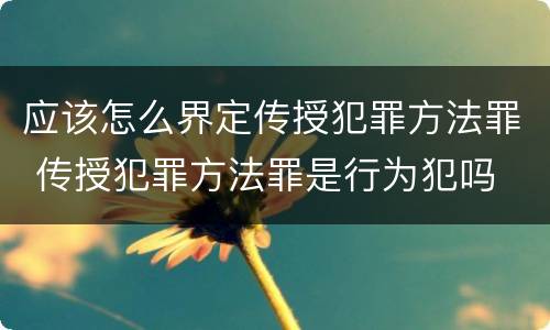 应该怎么界定传授犯罪方法罪 传授犯罪方法罪是行为犯吗