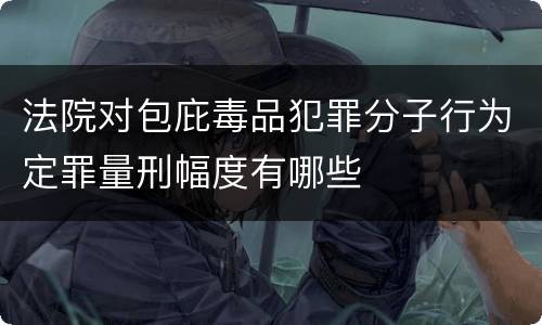 法院对包庇毒品犯罪分子行为定罪量刑幅度有哪些