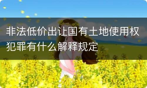 非法低价出让国有土地使用权犯罪有什么解释规定