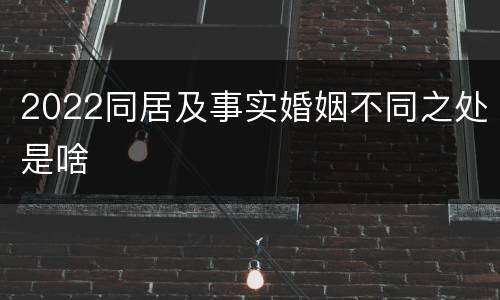 2022同居及事实婚姻不同之处是啥