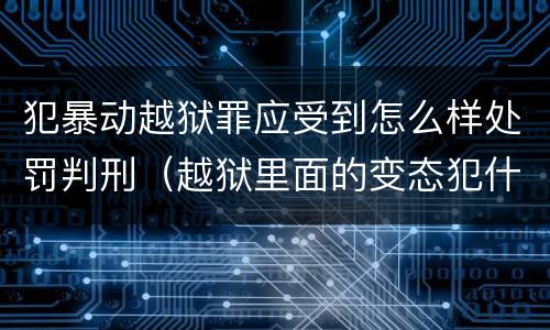 犯暴动越狱罪应受到怎么样处罚判刑（越狱里面的变态犯什么罪）