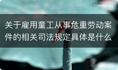 关于雇用童工从事危重劳动案件的相关司法规定具体是什么重要内容