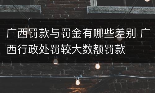 广西罚款与罚金有哪些差别 广西行政处罚较大数额罚款