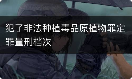 犯了非法种植毒品原植物罪定罪量刑档次