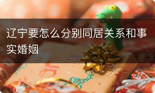 辽宁要怎么分别同居关系和事实婚姻