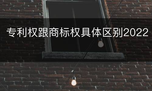 专利权跟商标权具体区别2022