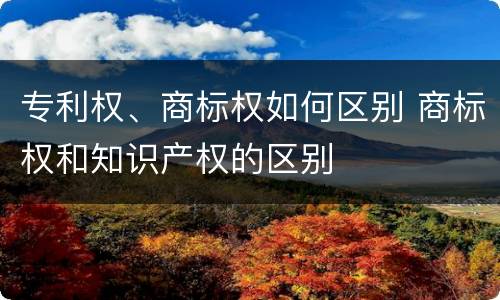 专利权、商标权如何区别 商标权和知识产权的区别