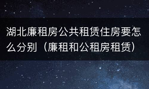 湖北廉租房公共租赁住房要怎么分别（廉租和公租房租赁）