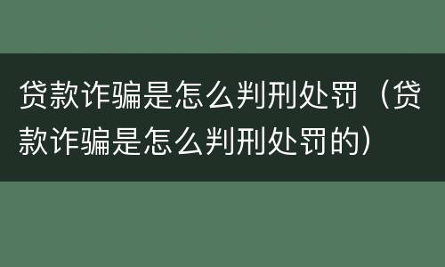 贷款诈骗是怎么判刑处罚（贷款诈骗是怎么判刑处罚的）