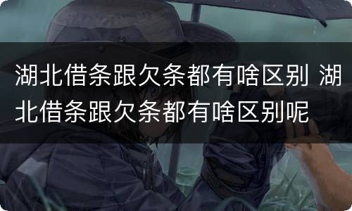 湖北借条跟欠条都有啥区别 湖北借条跟欠条都有啥区别呢