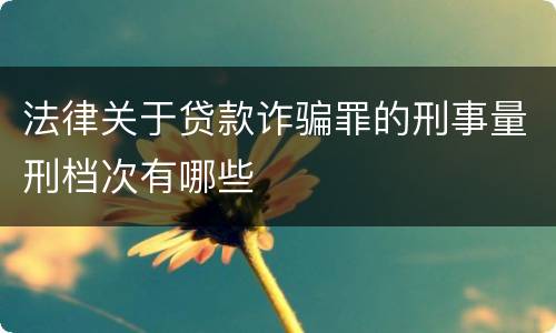 法律关于贷款诈骗罪的刑事量刑档次有哪些