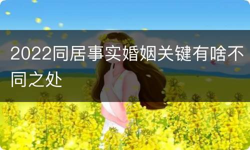 2022同居事实婚姻关键有啥不同之处