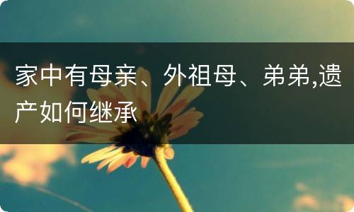家中有母亲、外祖母、弟弟,遗产如何继承