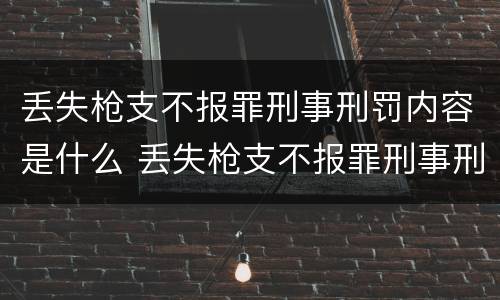 丢失枪支不报罪刑事刑罚内容是什么 丢失枪支不报罪刑事刑罚内容是什么意思