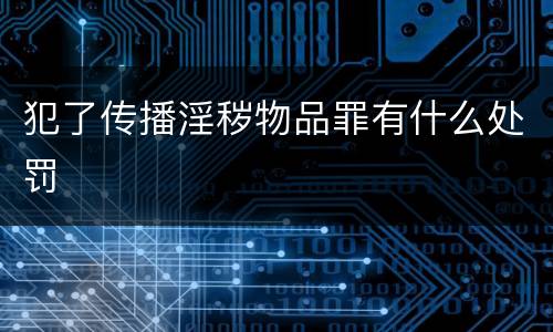 犯了传播淫秽物品罪有什么处罚