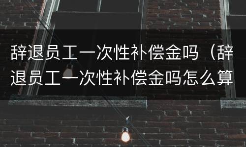 辞退员工一次性补偿金吗（辞退员工一次性补偿金吗怎么算）