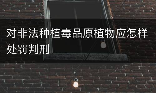 对非法种植毒品原植物应怎样处罚判刑