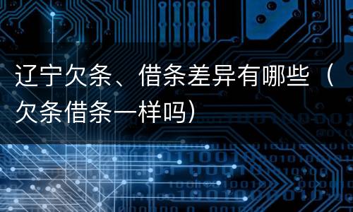辽宁欠条、借条差异有哪些（欠条借条一样吗）