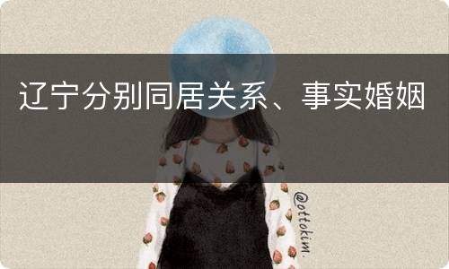 辽宁分别同居关系、事实婚姻