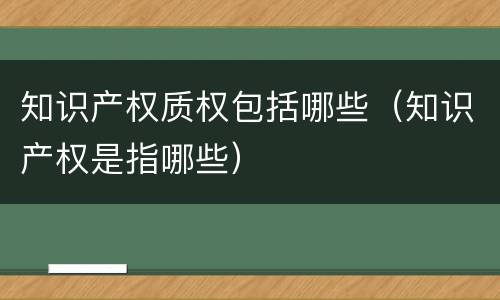 知识产权质权包括哪些（知识产权是指哪些）