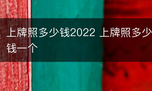 上牌照多少钱2022 上牌照多少钱一个