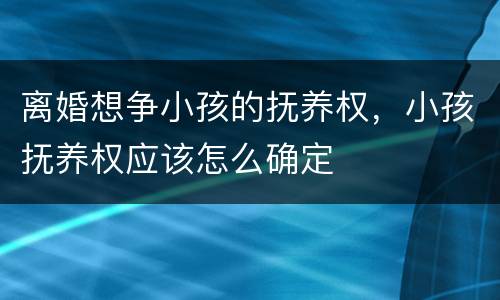 离婚想争小孩的抚养权，小孩抚养权应该怎么确定
