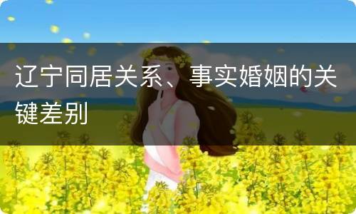 辽宁同居关系、事实婚姻的关键差别
